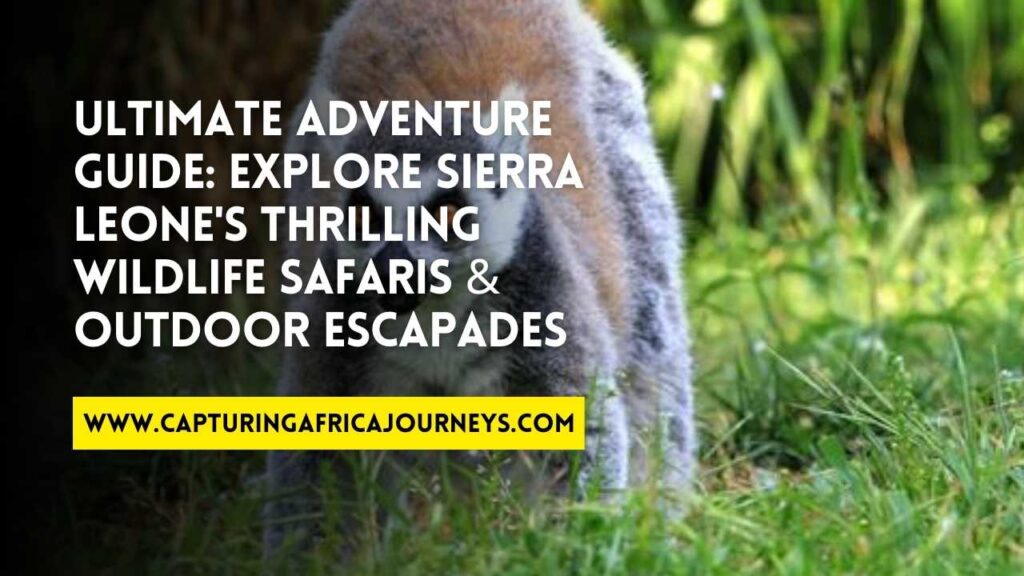 adventuring in Sierra Leone