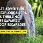 adventuring in Sierra Leone