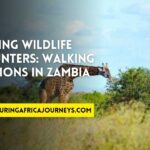 adventuring in Zambia