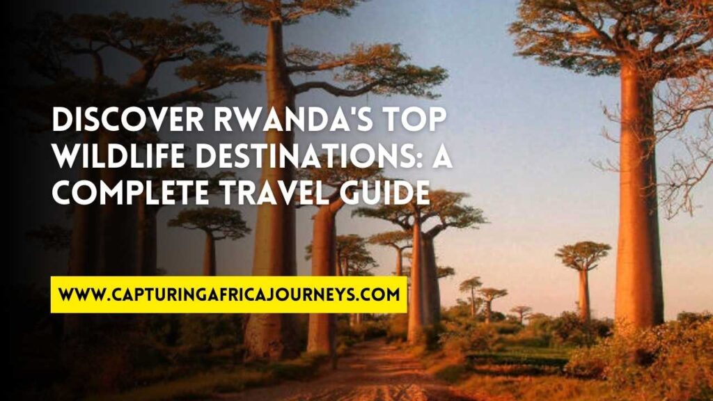 travel guide to Rwanda