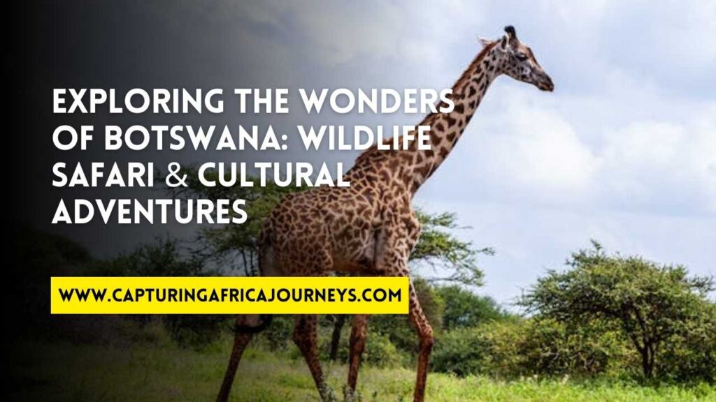 adventuring in Botswana