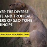 explore the beauty of Sao Tome and Principe