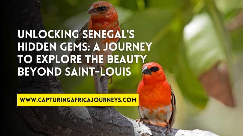 explore the beauty of Senegal