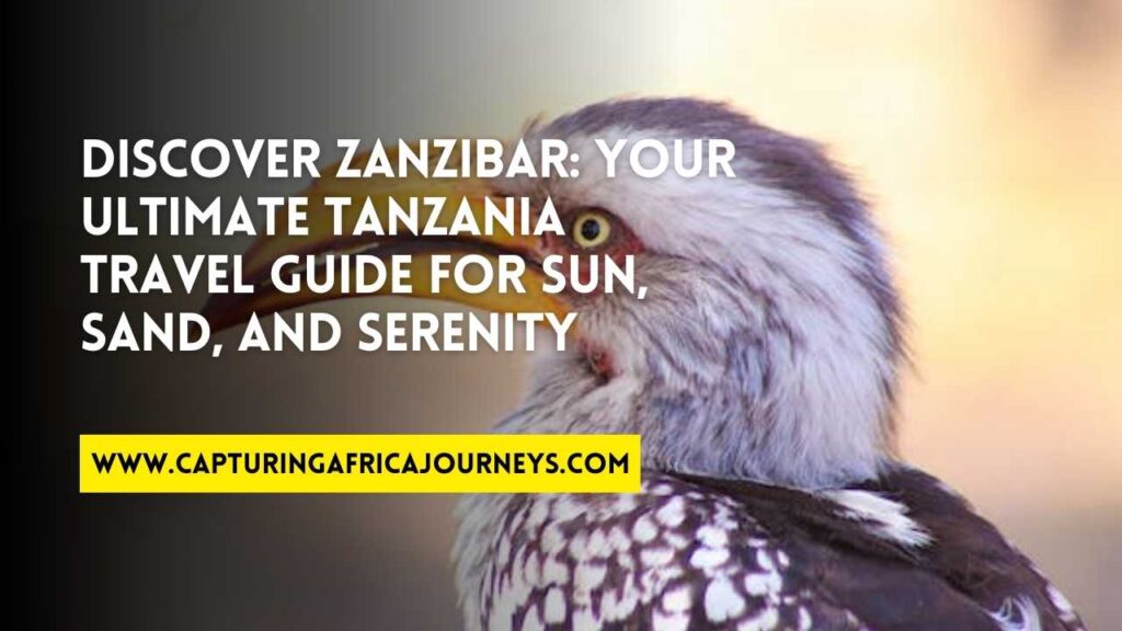 travel guide to Tanzania