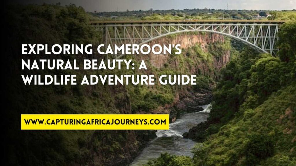adventuring in Cameroon
