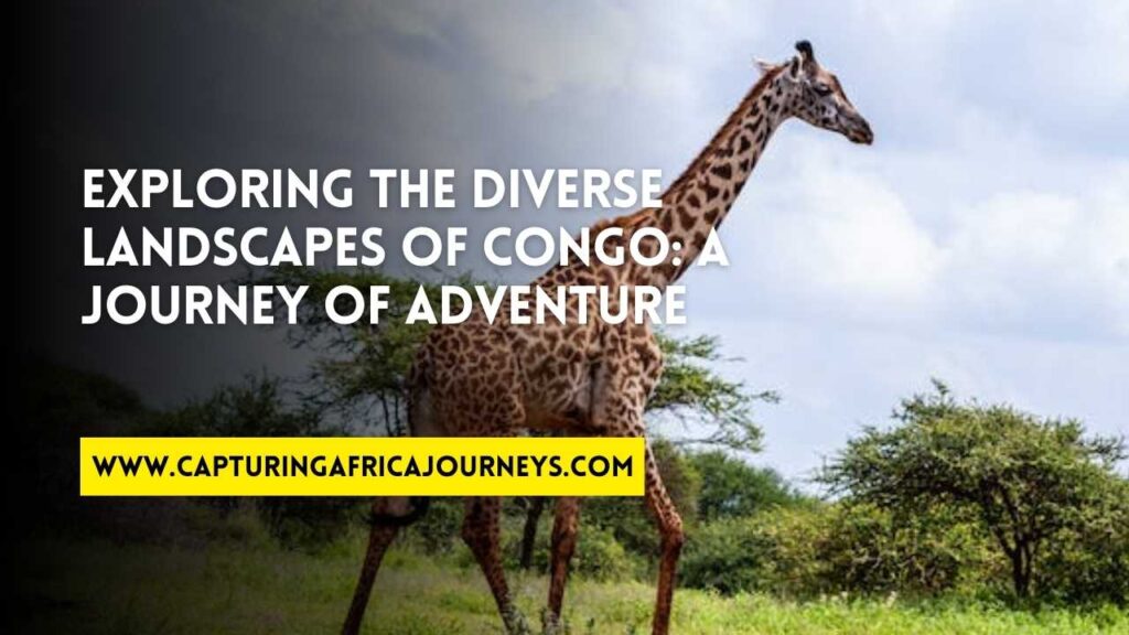 adventuring in Congo