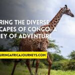 adventuring in Congo