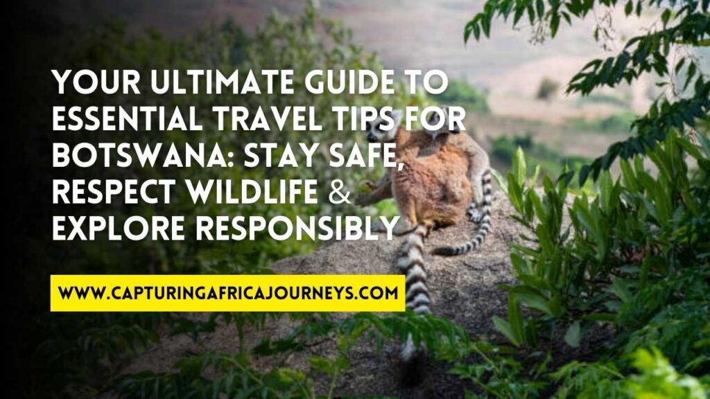 essential travel tips for Botswana