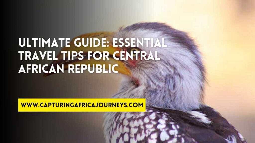essential travel tips for Central African Republic