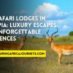 best safari lodges in Ethiopia