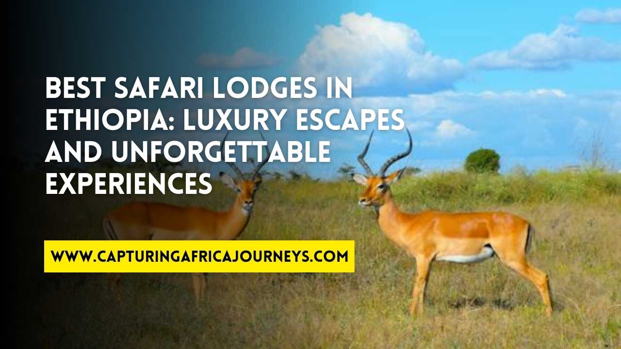 best safari lodges in Ethiopia