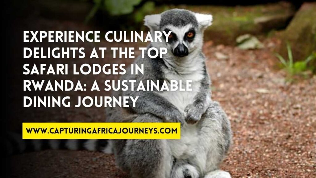 best safari lodges in Rwanda