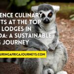 best safari lodges in Rwanda