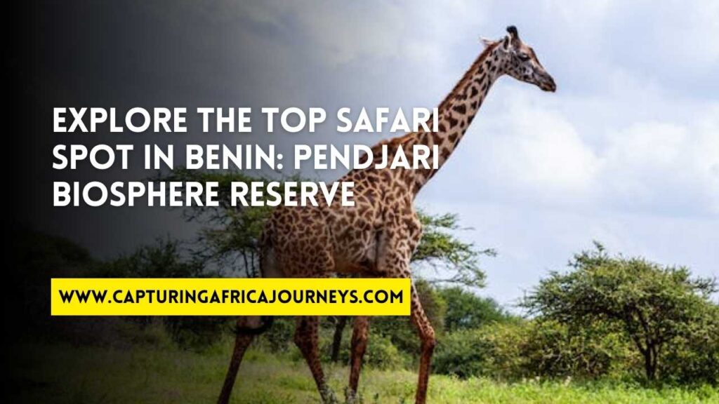best safari destinations in Benin