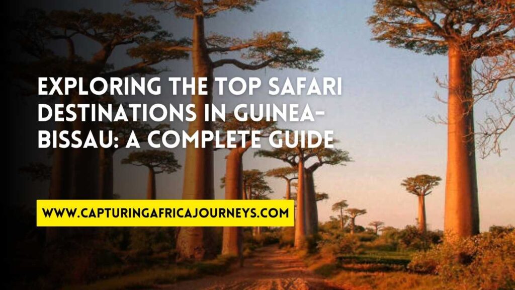 best safari destinations in Guinea-Bissau