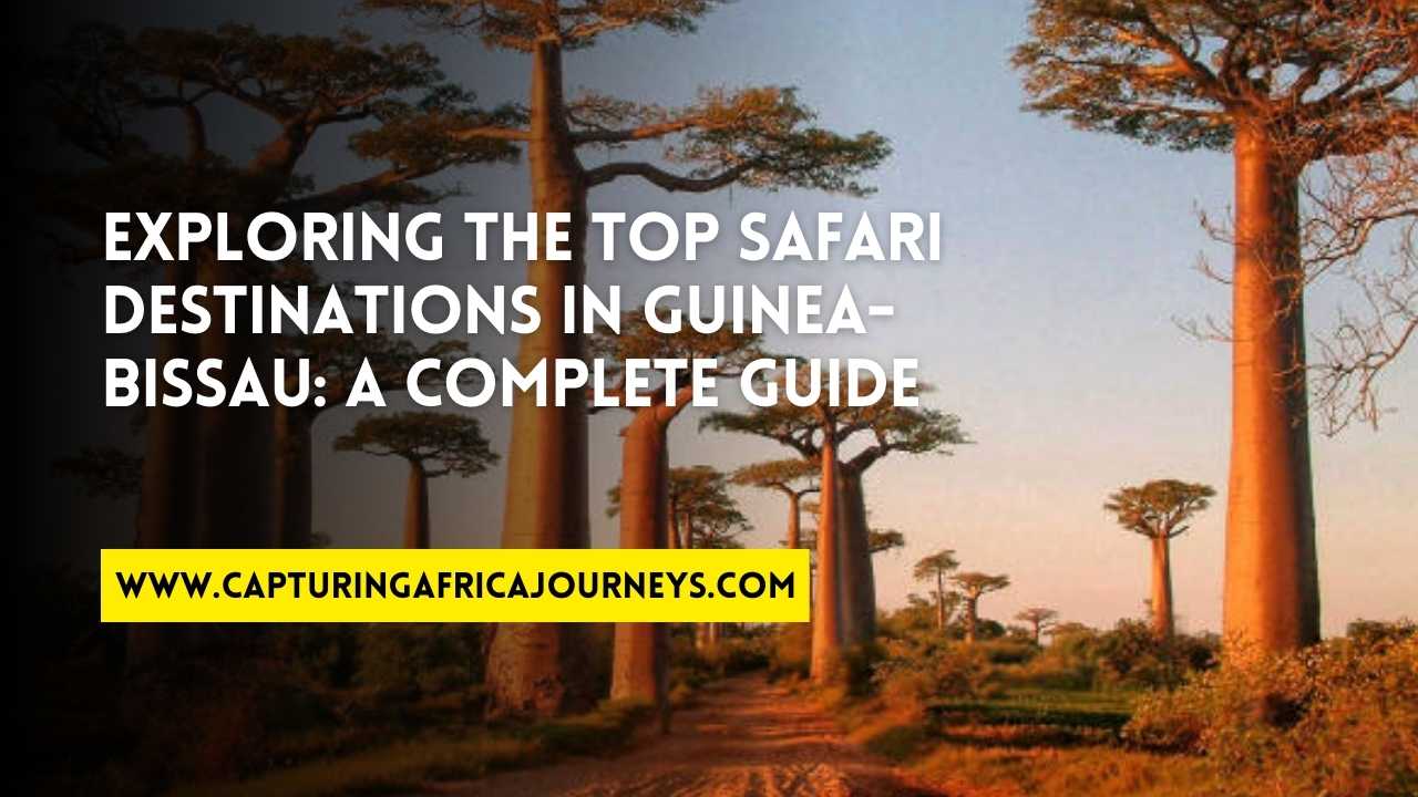 best safari destinations in Guinea-Bissau