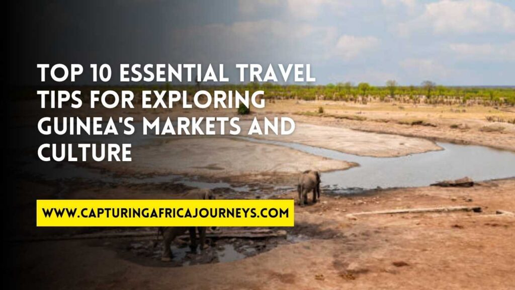essential travel tips for Guinea