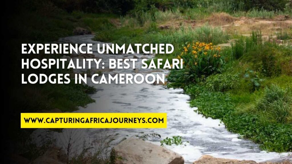 best safari lodges in Cameroon