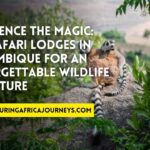 best safari lodges in Mozambique