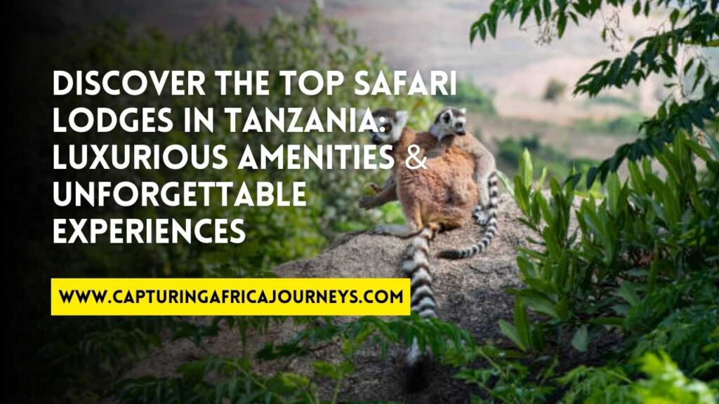 best safari lodges in Tanzania