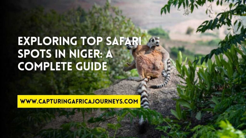 best safari destinations in Niger