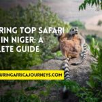 best safari destinations in Niger