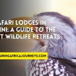 best safari lodges in Eswatini