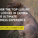 best safari lodges in Zambia