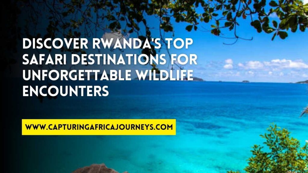 best safari destinations in Rwanda