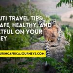 essential travel tips for Djibouti