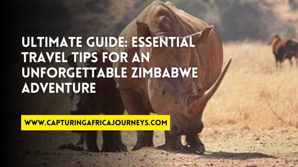 essential travel tips for Zimbabwe