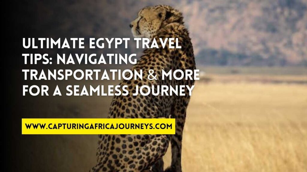 essential travel tips for Egypt