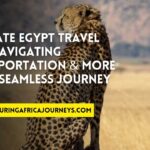 essential travel tips for Egypt