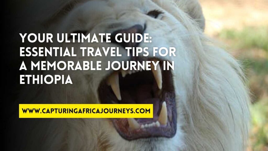 essential travel tips for Ethiopia