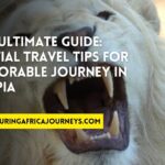 essential travel tips for Ethiopia