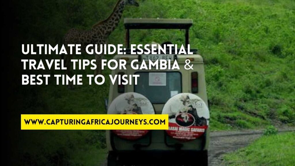 essential travel tips for Gambia