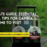 essential travel tips for Gambia