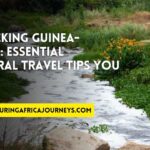 essential travel tips for Guinea-Bissau