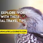 essential travel tips for Ivory Coast